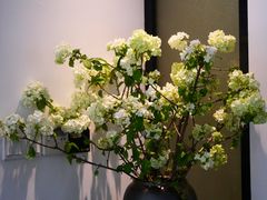 -子福慧(虹桥店)