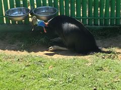 -西霞口神雕山野生动物世界