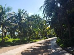 -白沙门生态公园