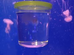 -乌鲁木齐海洋馆