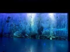 -哈尔滨波塞冬海底世界