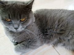 -Rabbit Cafe私房西餐甜点咖啡(栖霞路店)