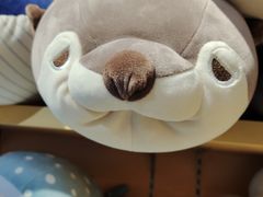 -上海海昌海洋公园
