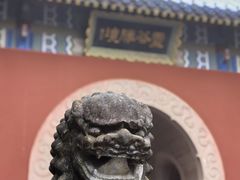 -灵谷景区