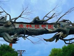 -绥化市森林植物园