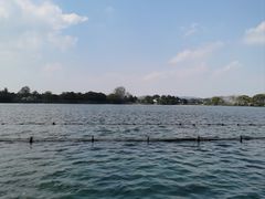 -西湖外事游船(湖滨二公园外事游船码头)