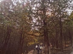 -青州市云门山风景区