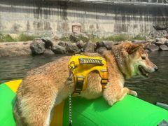 -安吉龙王山峡谷漂流