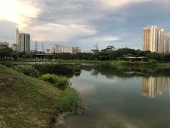 -福田红树林生态公园