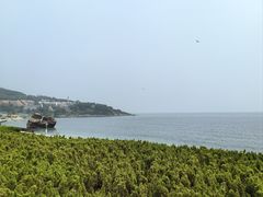 -傅家庄公园