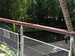 -燕晗山郊野公园