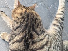 -后海16号·北京私房菜