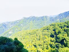 -少华山国家森林公园