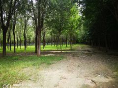 -亲兄弟真人CS团建拓展基地