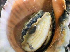 -望海潮海鲜店 特色家常菜(在海一方店)
