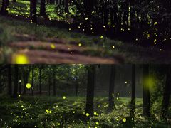 -东钱湖旅游度假区