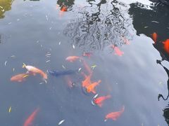 -豫园