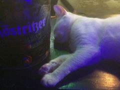 -星宿秘码(鼓浪屿老店)