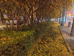 -蓬莱阁中餐厅(崇文门店)