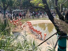 -武汉动物园