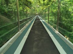 -嵖岈山风景区
