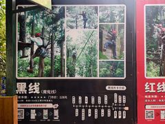 -芦仙山景区-飞越丛林探险乐园