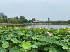 -西海子公园
