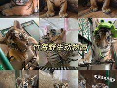 -栾川竹海野生动物园