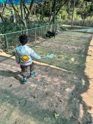 -阿菠萝小猪农场·萌宠乐园·亲子游·研学