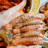 😻西丽巨好吃的爆膏蟹｜只只爆膏好吃哭了😭