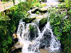 -藏龙百瀑风景区