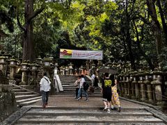 -奈良公园