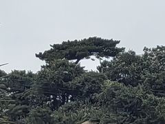 -天津盘山风景名胜区