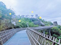 -福道