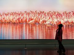 -罗红摄影艺术馆