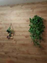 点击看大图 -爱秀造型