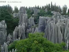 android_upload_pic-千岛湖石林