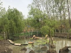 -溱湖国家湿地公园