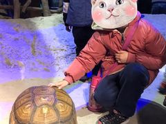 -江和美海洋公园