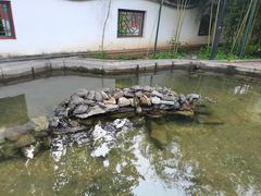 -红螺寺