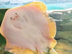 -珠海长隆海洋王国