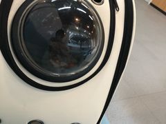 -爱妮康宠物医院·干细胞免疫细胞·肿瘤·心脏(张江店)