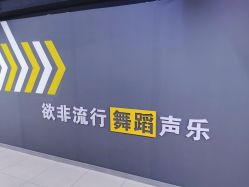 -欲非舞蹈