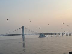 -星海广场