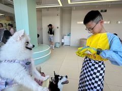 -怪兽屋·羊驼·猫咖·狗咖(俊华广场店)