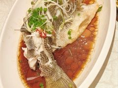 -福来居烤鸭店(天坛二店)