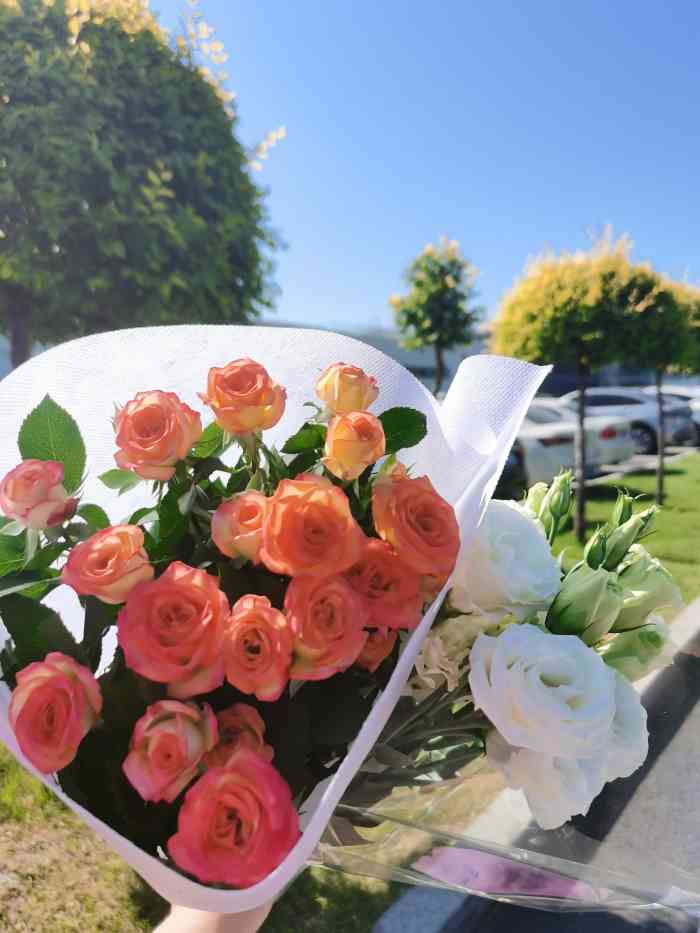 哈尔滨花卉大市场-"北方冰城哈尔滨不但是音乐思想,也是有着多.