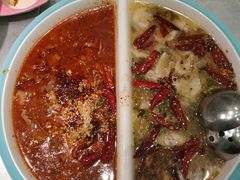 -姚姚酸菜鱼·金戈戈香港豉油鸡(喜荟城联名店)