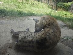 -杭州野生动物世界