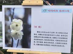 -堤角公园